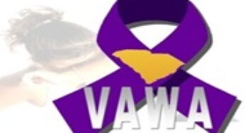 Violence Against Women Act (VAWA) in the U.S.